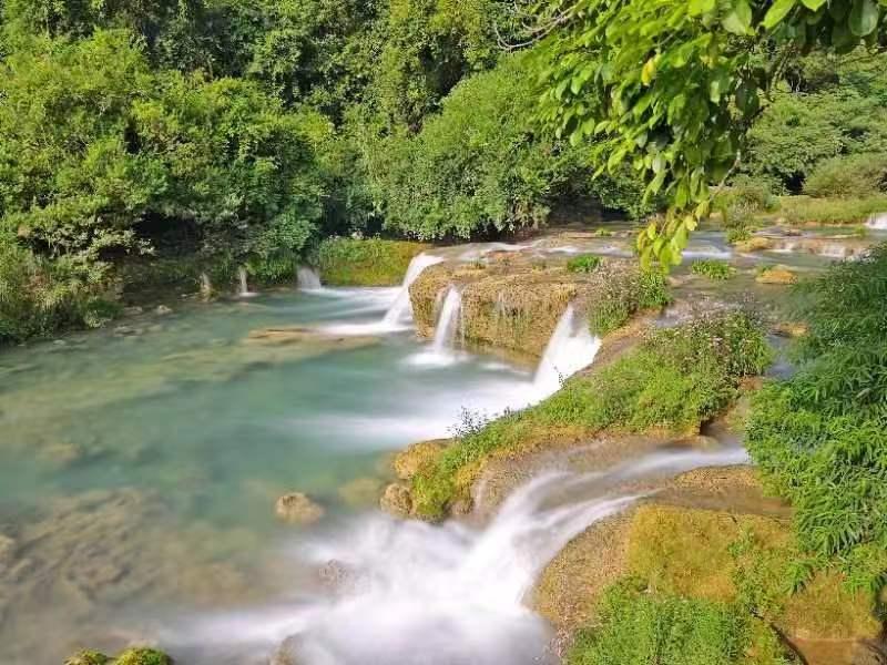 这种油容易致癌，但很多家庭还在用它炒菜→