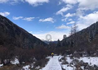 科普“二手车评估师”的就业前景，以及考试条件，流程！