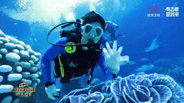 中国制造电动三轮车火到国外 网友：三蹦子也有“豪华版”