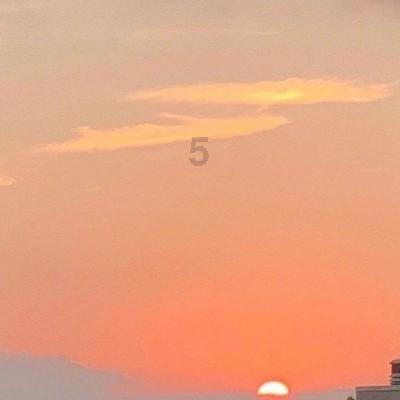 在长江南京段出现的“豚坚强”,身上有伤依然在江中自由嬉戏,江豚保护志愿者:放心,受伤处正在好转