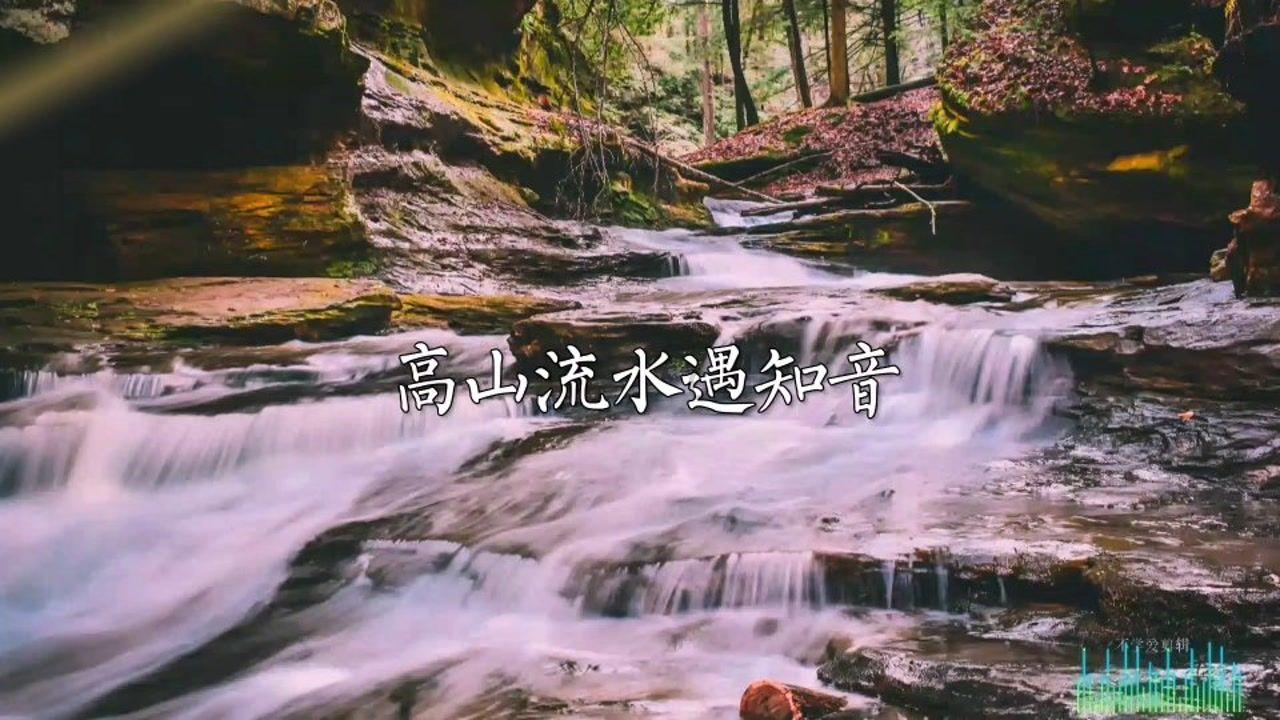 胖小猫救援