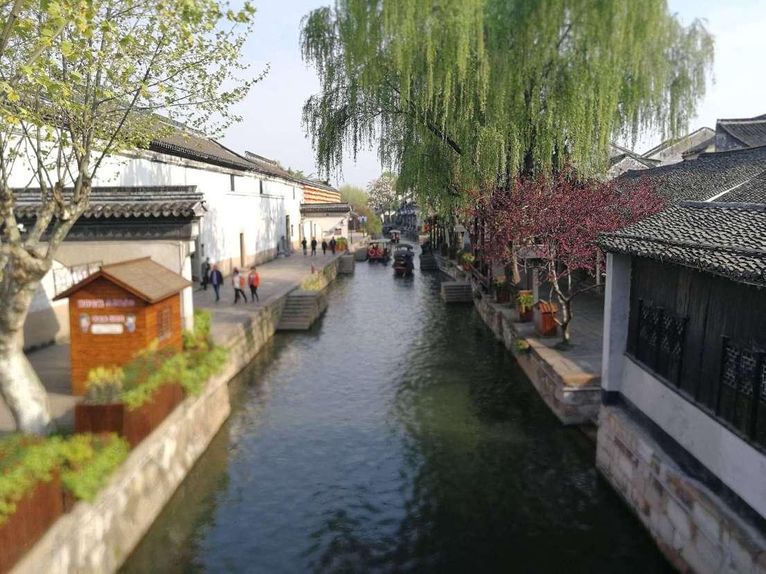 僵尸粉碎机
