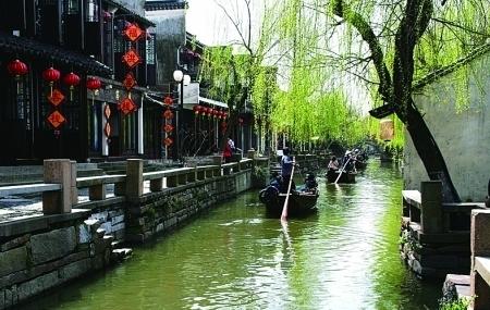 智力水滴